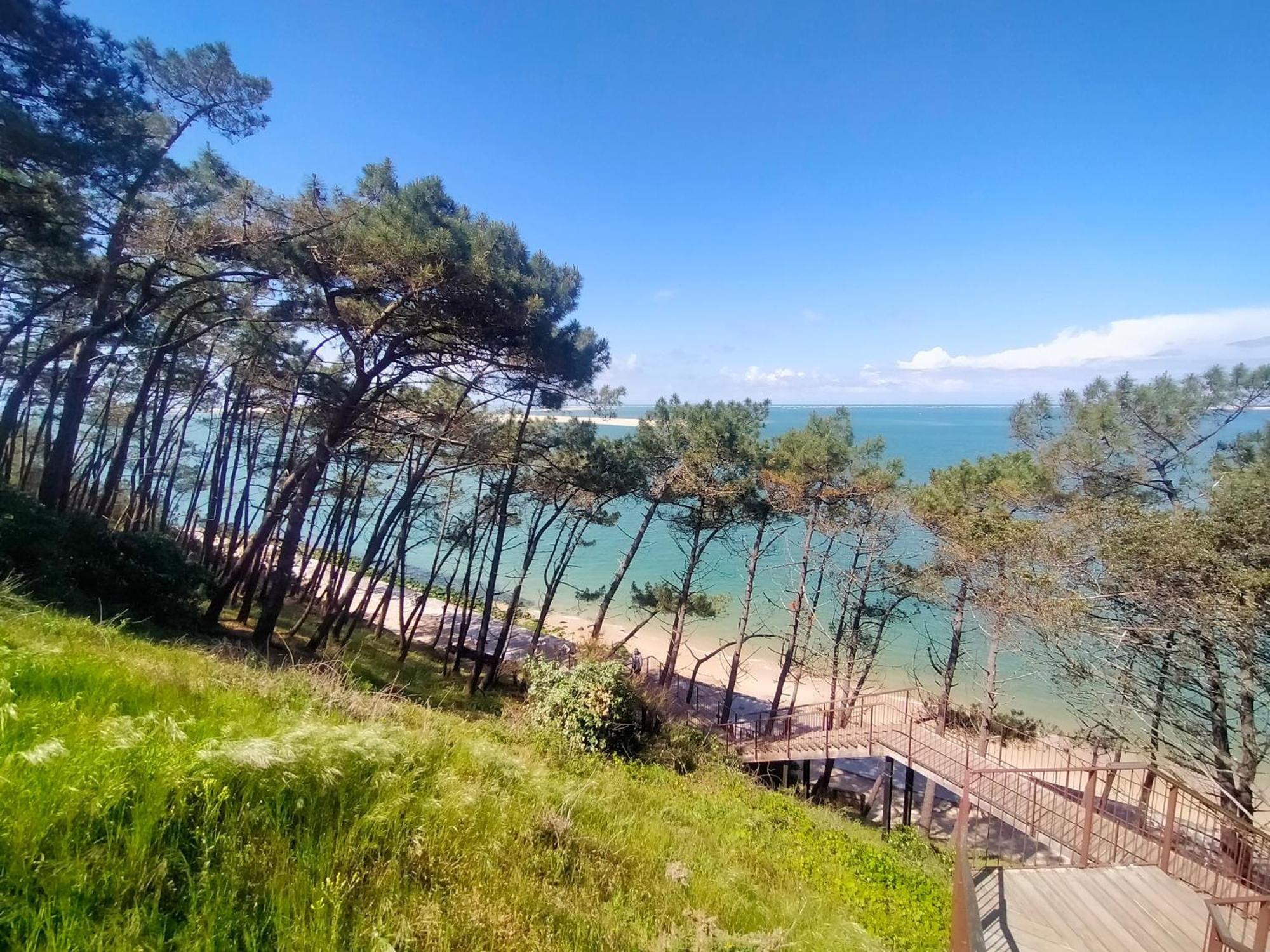 Gite Avec Piscine Et Espace Bien-Etre Partages Entre Bordeaux Et Lacanau Ocean (Adults Only) Brach Экстерьер фото